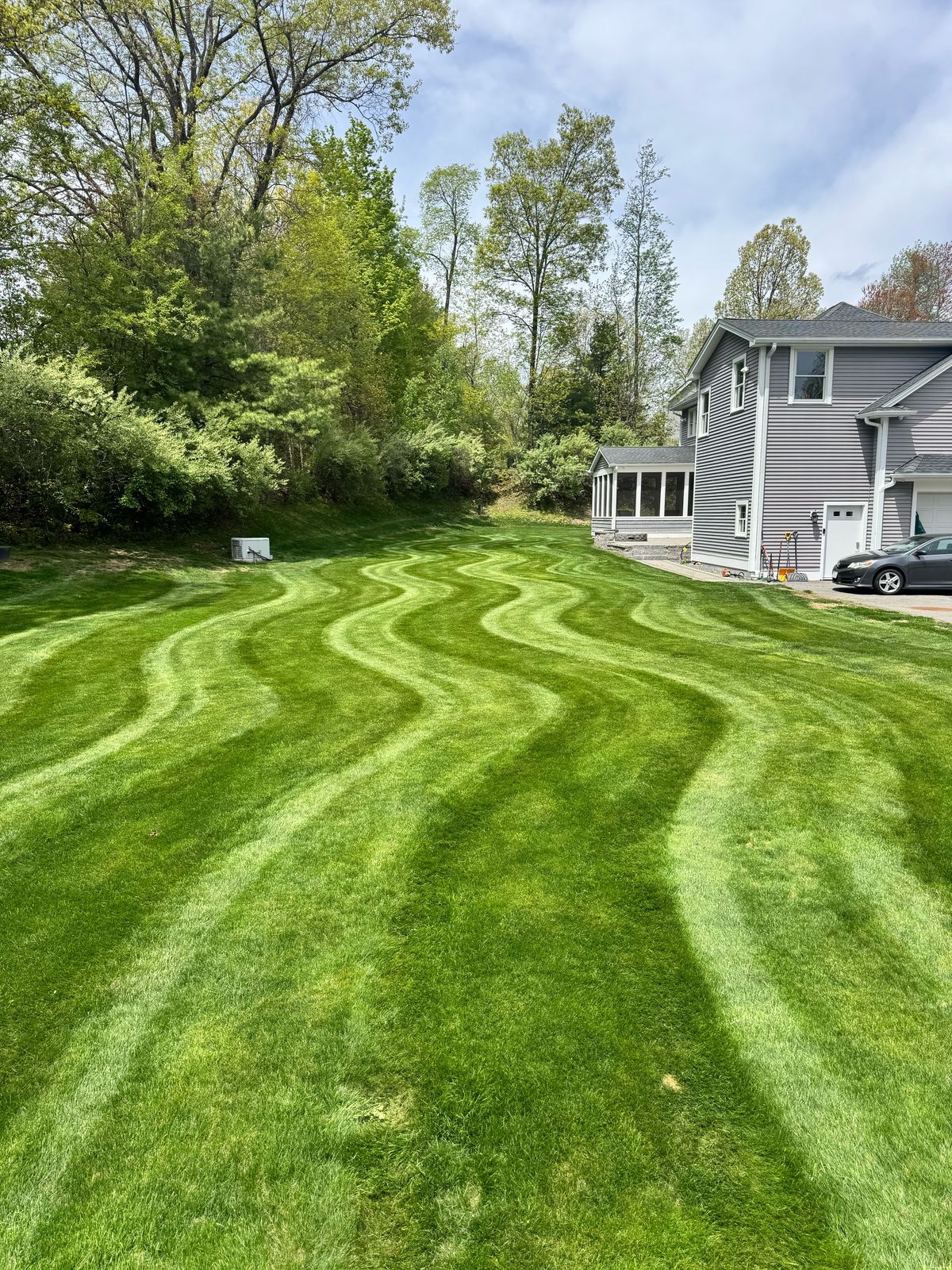 Lawn mowed in wavy custom stripes leading up to a gray house